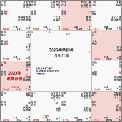 貪狼化忌2023|2023流年「命宮紫微貪狼．遷移空宮」